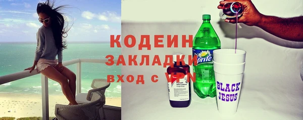 прущие грибы Горнозаводск
