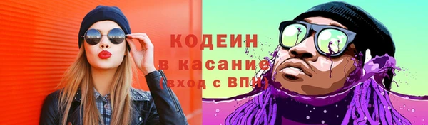 прущие грибы Горнозаводск
