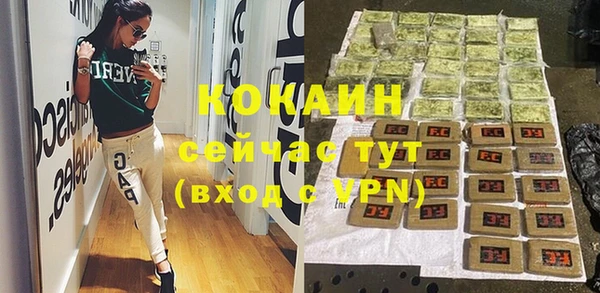 прущие грибы Горнозаводск