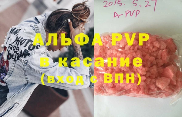 прущие грибы Горнозаводск