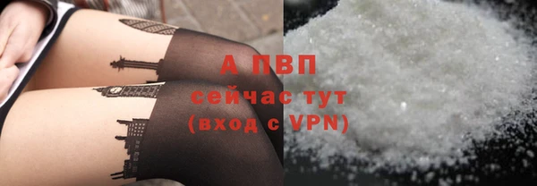 прущие грибы Горнозаводск