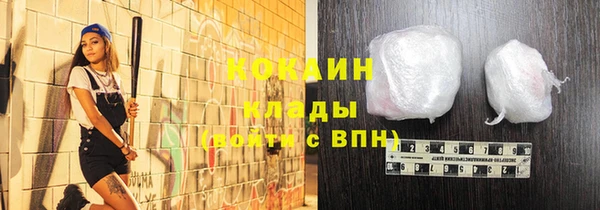 прущие грибы Горнозаводск