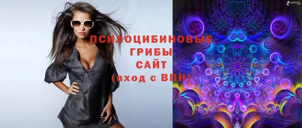 ПСИЛОЦИБИНОВЫЕ ГРИБЫ Семилуки