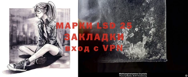 прущие грибы Горнозаводск