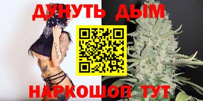 стаф Донецк