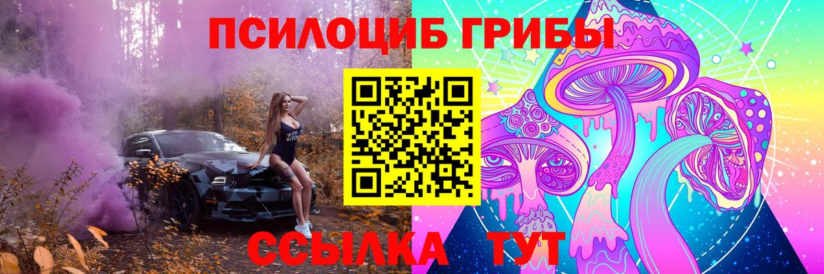 Псилоцибиновые грибы GOLDEN TEACHER  Псилоцибиновые грибы Psilocybe  Вход с VPN  Зима 